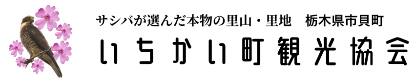 いちかい町観光協会