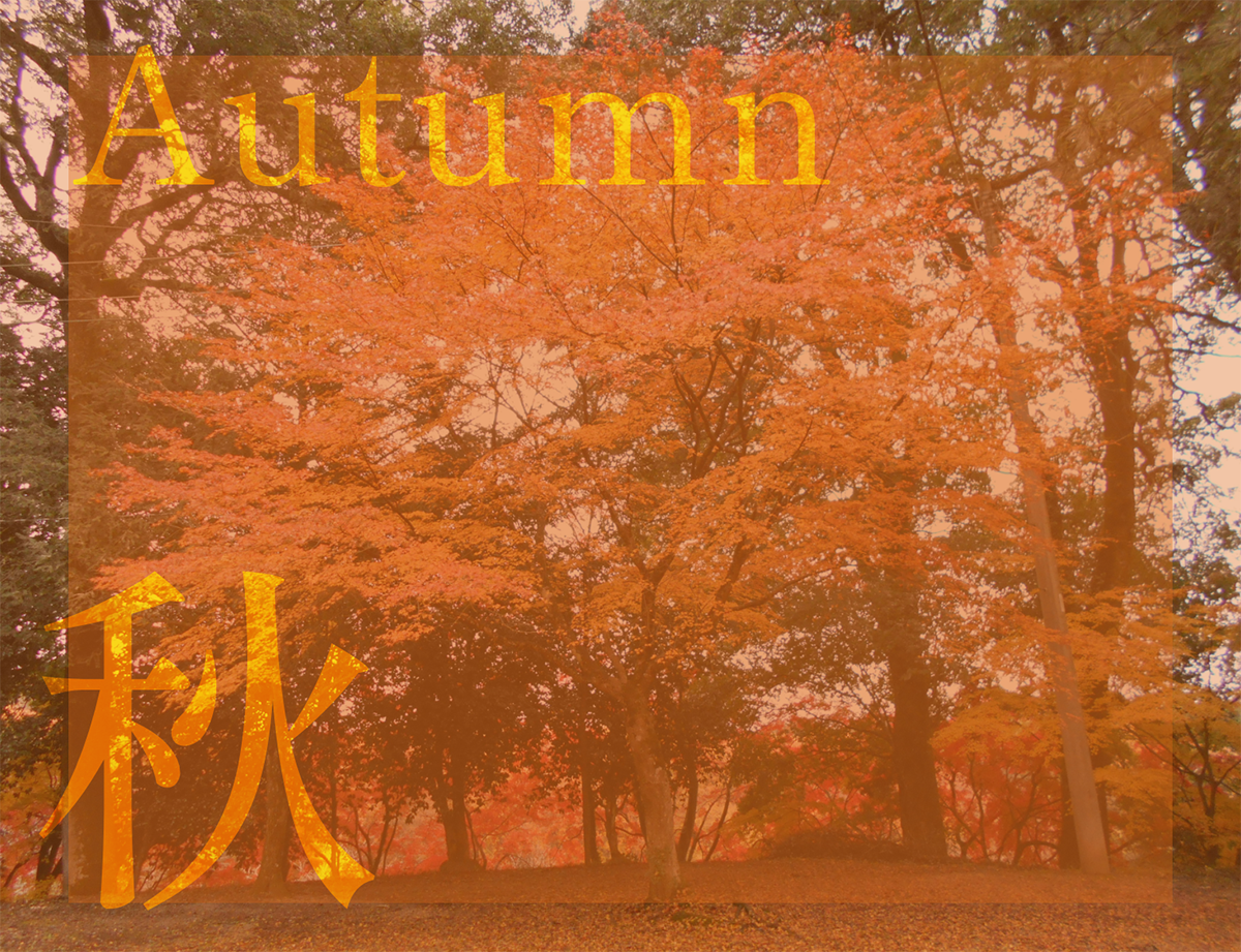 秋